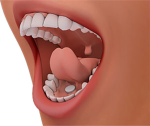 Sublingual Mouth